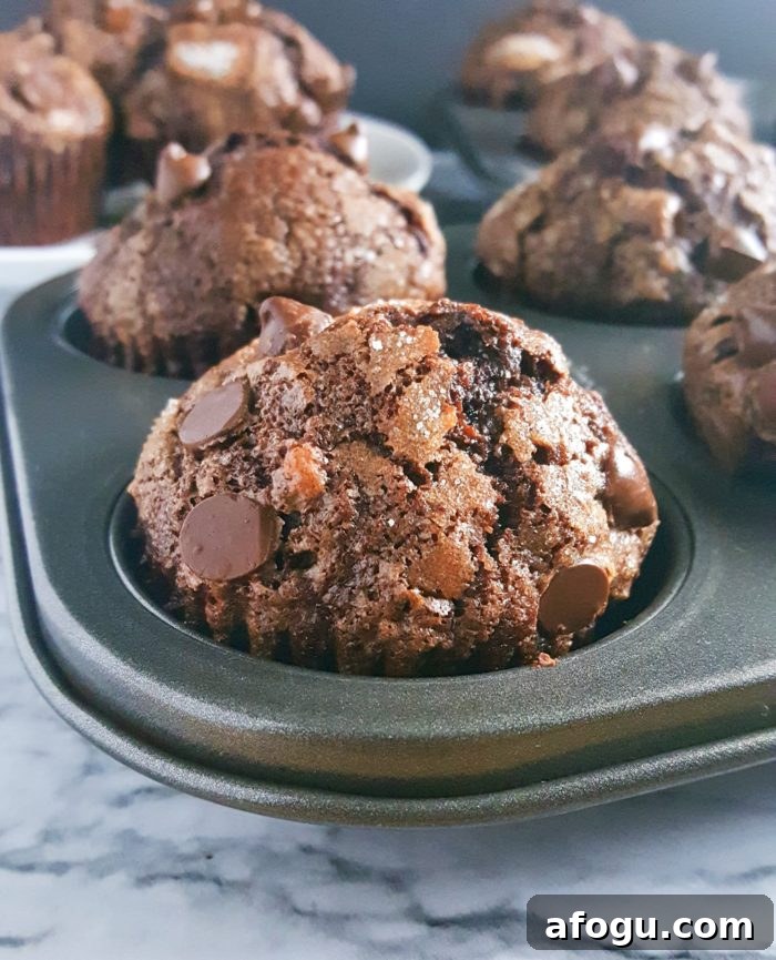 The Best Double Chocolate Banana Muffins - Turn overripe bananas into these Bakery Style Double Chocolate Chip Banana Muffins that taste like Brownies! This is a one bowl recipe that's super easy to make and so delicious.