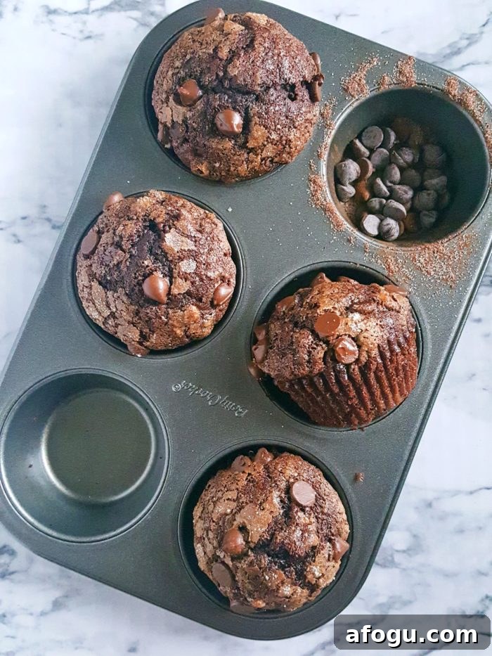 The Best Double Chocolate Banana Muffins - Turn overripe bananas into these Bakery Style Double Chocolate Chip Banana Muffins that taste like Brownies! This is a one bowl recipe that's super easy to make and so delicious.