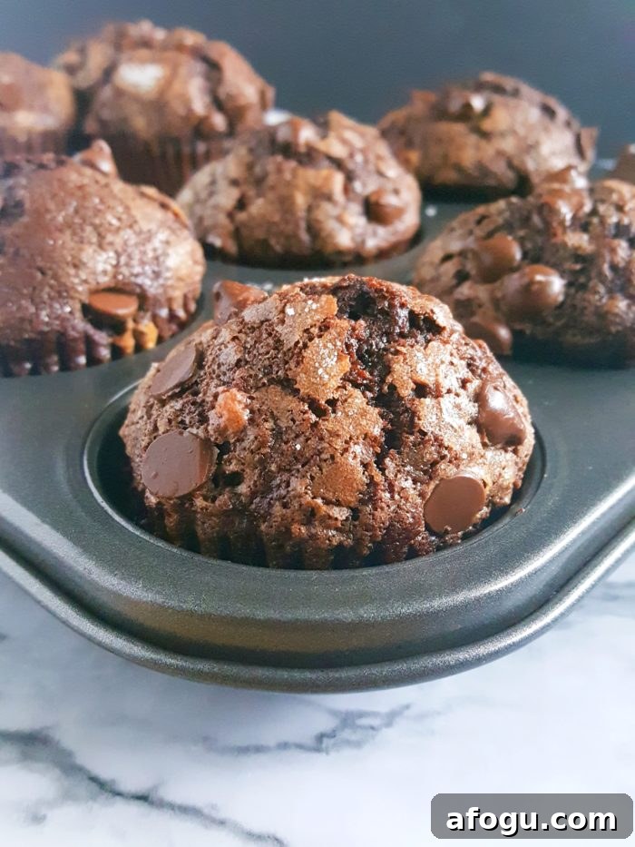 The Best Double Chocolate Banana Muffins - Turn overripe bananas into these Bakery Style Double Chocolate Chip Banana Muffins that taste like Brownies! This is a one bowl recipe that's super easy to make and so delicious.