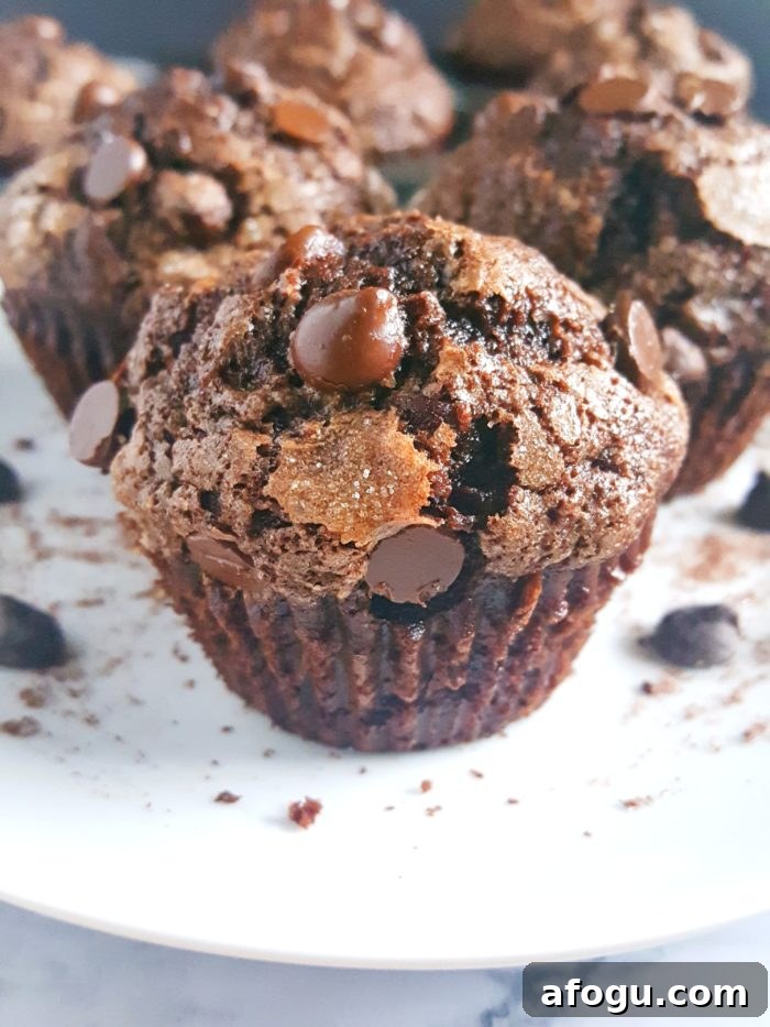 The Best Double Chocolate Banana Muffins - Turn overripe bananas into these Bakery Style Double Chocolate Chip Banana Muffins that taste like Brownies! This is a one bowl recipe that's super easy to make and so delicious.