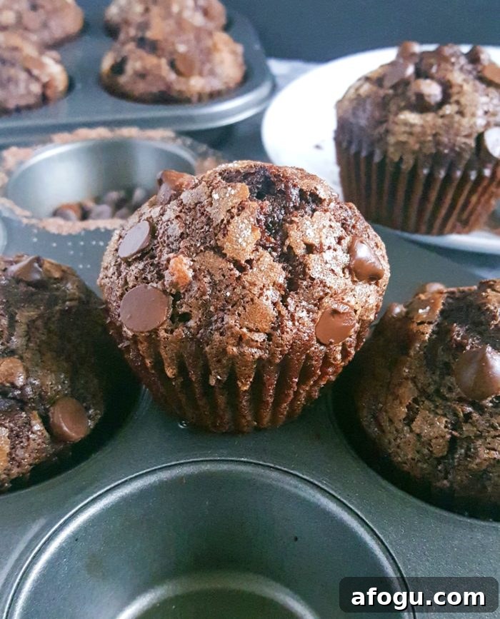 The Best Double Chocolate Banana Muffins - Turn overripe bananas into these Bakery Style Double Chocolate Chip Banana Muffins that taste like Brownies! This is a one bowl recipe that's super easy to make and so delicious.