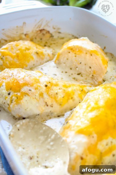 This recipe for creamy garlic chicken tastes AMAZING and it’s so simple to make!