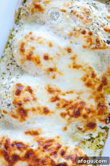 Creamy Pesto Chicken is an easy dinner recipe made with chicken, cream cheese, pesto, and mozzarella!
