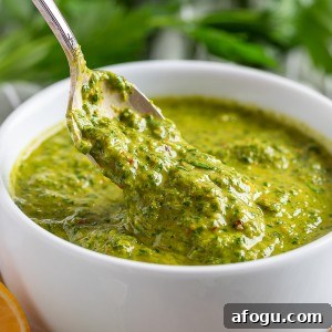 This unique chimichurri is perfect for drizzling over grilled meats, seafood, or vegetables, offering a tangy, aromatic punch with every bite.