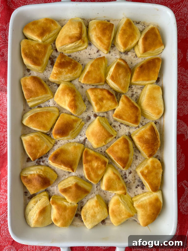 Pieces of golden brown biscuits neatly arranged on top of a sausage gravy casserole that's fresh out of the oven.
