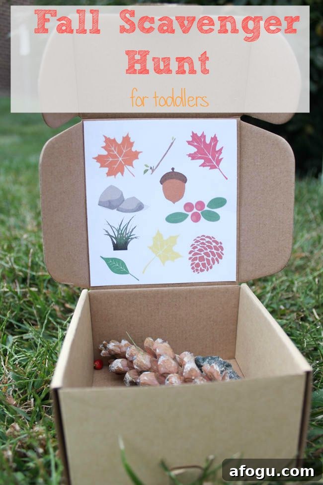 box of natural items for a fall scavenger hunt